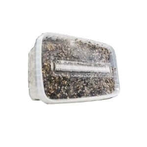 Kits de cultivo GetMagic®