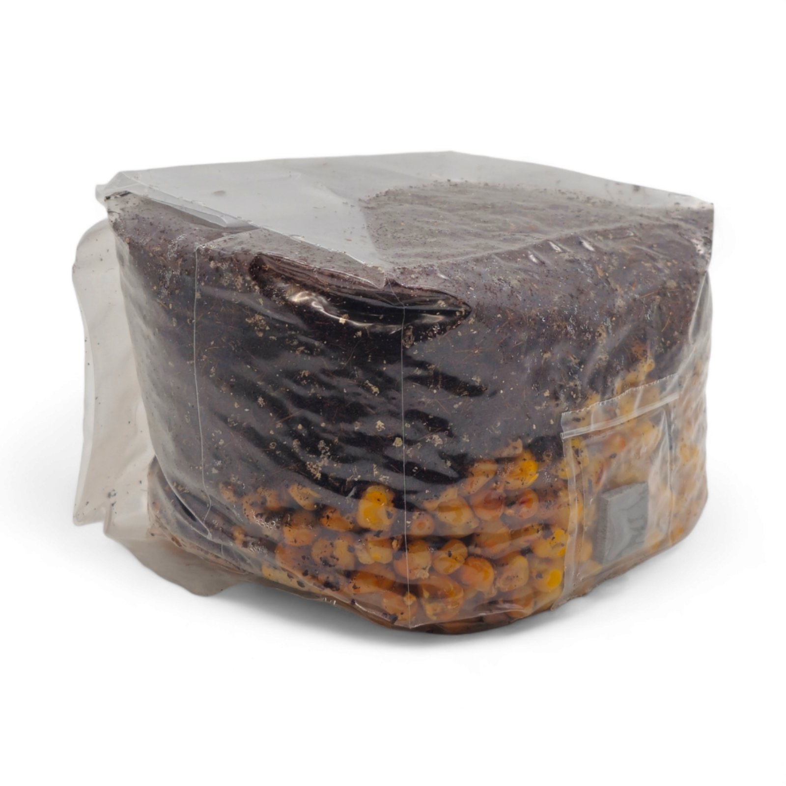 Compra la Bolsa de Cultivo Todo en Uno para Hongos