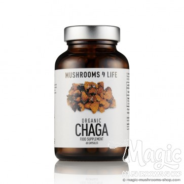 Chaga (Inonotus Obliquus) Mushroom Capsules Mushrooms4life