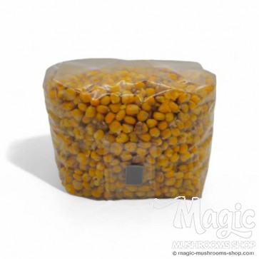 Mushroom Substrate Kit Large 