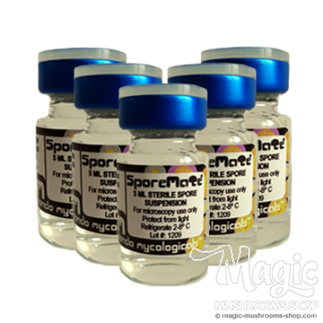 cubensis spore pack syringe