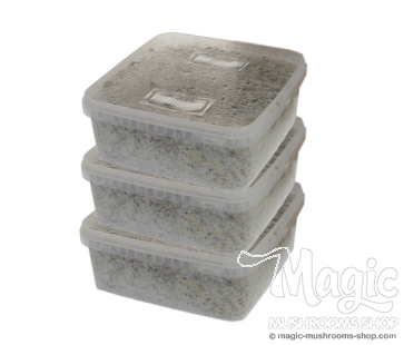 GetMagic® 3XL Grow Kits Bulk Deal