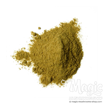 Muira Puama | Ptychopetalum Olacoides | Extracto 25x