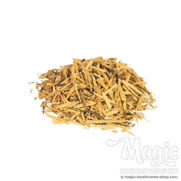 Muira Puama | Ptychopetalum olacoides | polvo y rallado