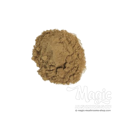 Maconha Brava Zornia Latifolia | Extracto 25x