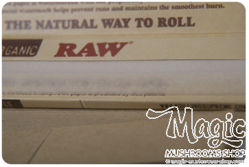 Papeles de liar y puntas RAW Organic 1 1/4 Size Connoisseur