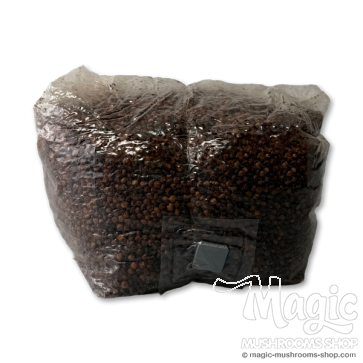 Sorghum spawn injection port