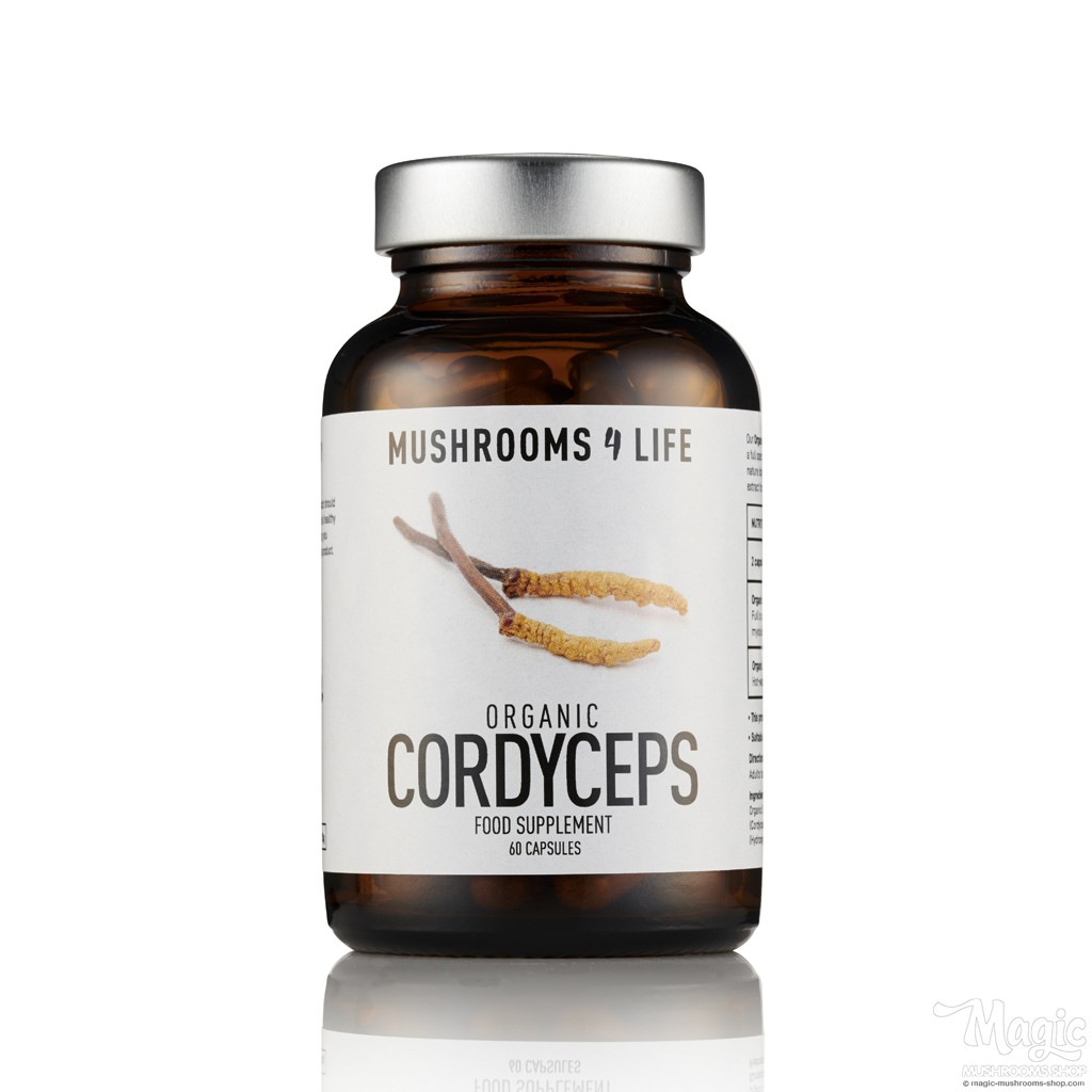  Cordyceps Mushroom Supplement Capsules | Mushrooms4life