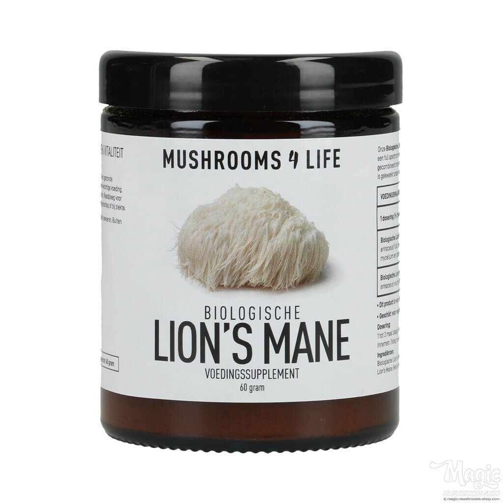 Lion's Mane Hericium erinaceus Powder | Mushrooms4life