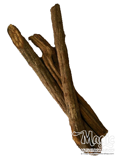  Banisteriopsis Caapi Trueno, shredded