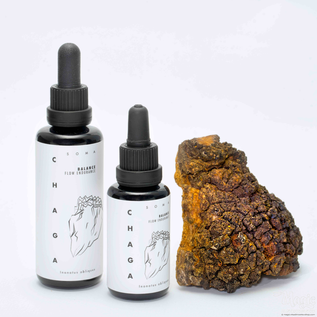 Chaga mushroom extract