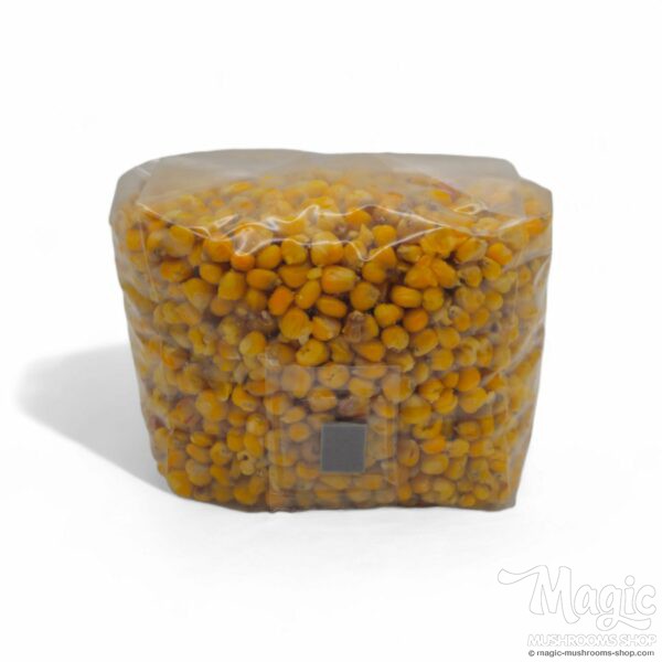 Mushroom Substrate Kit Large 