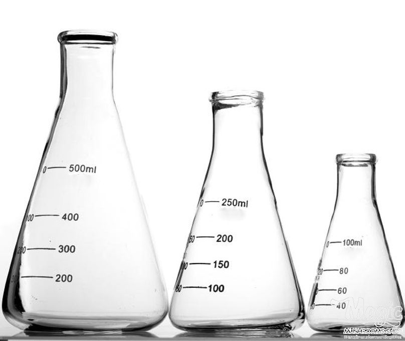 Erlenmeyer Flasks with rubber bung