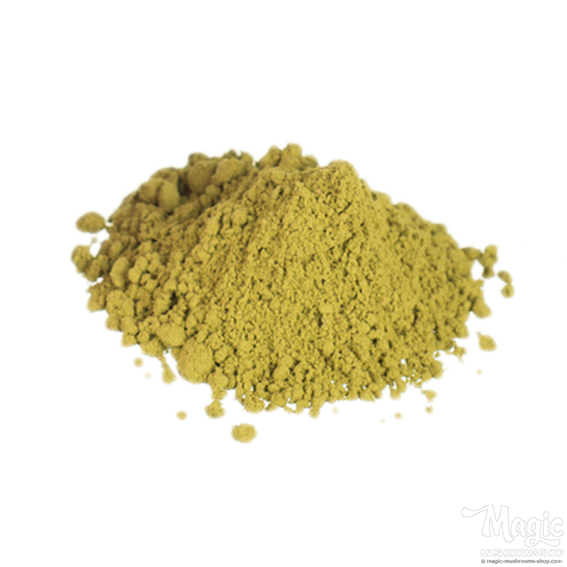 Damiana | Turnera Diffusa Powder