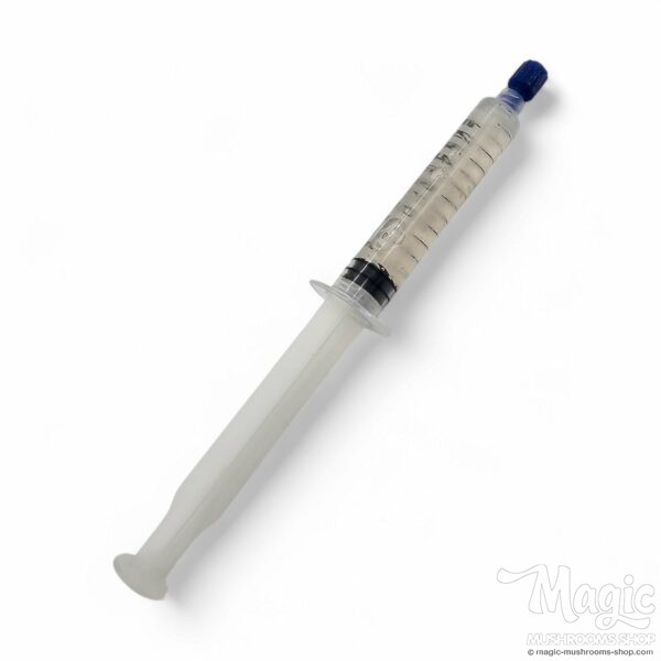 20cc Golden Teacher cubensis Spore Syringe with 500 g.p.p. ml