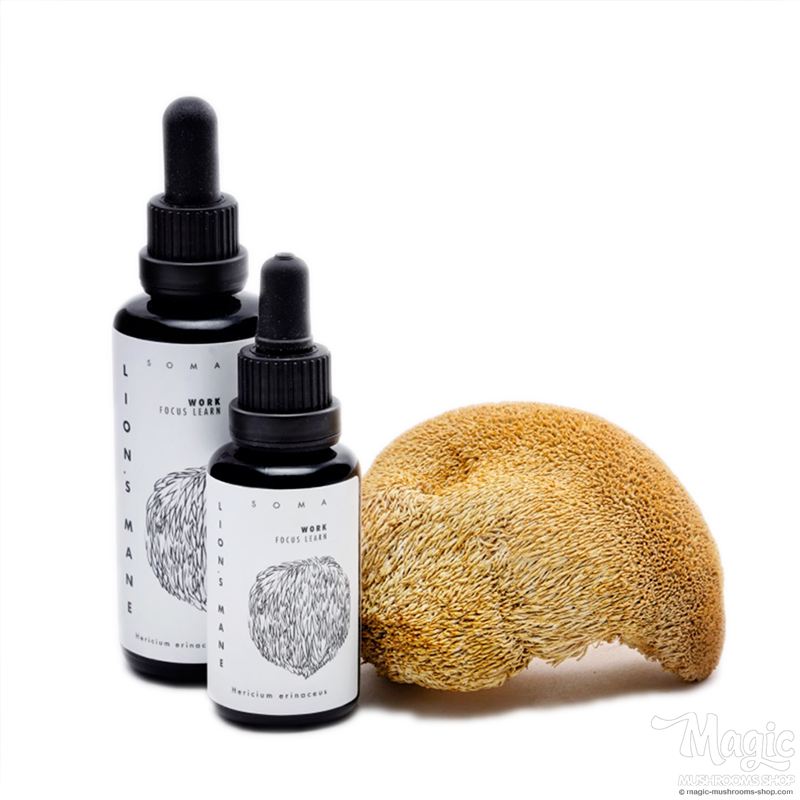 Lion's Mane mushroom tincture - KÄÄPÄ Health 