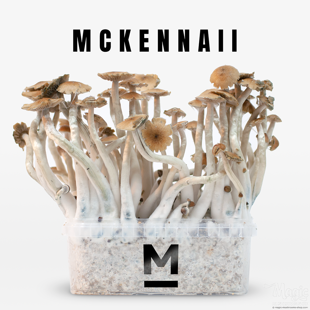 Flush of McKennaii