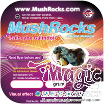 Psilocybe Galindoi Magic Truffles