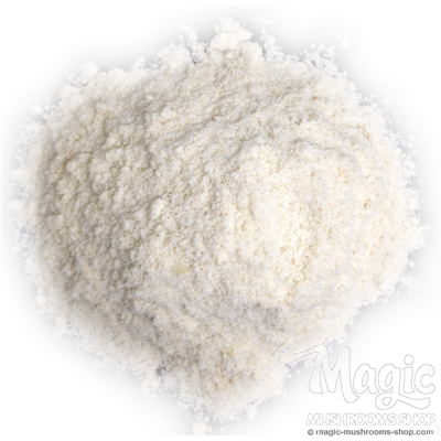 Harina de arroz integral BIO