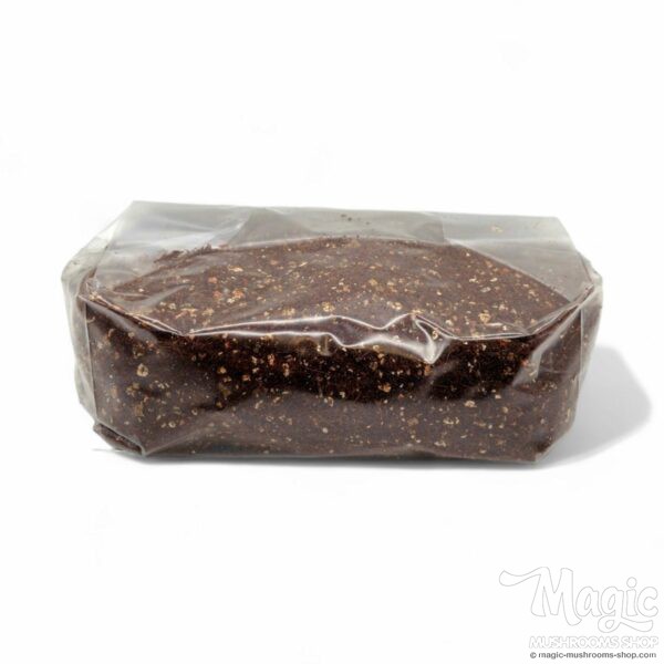 Mushroom Substrate Kit XL 