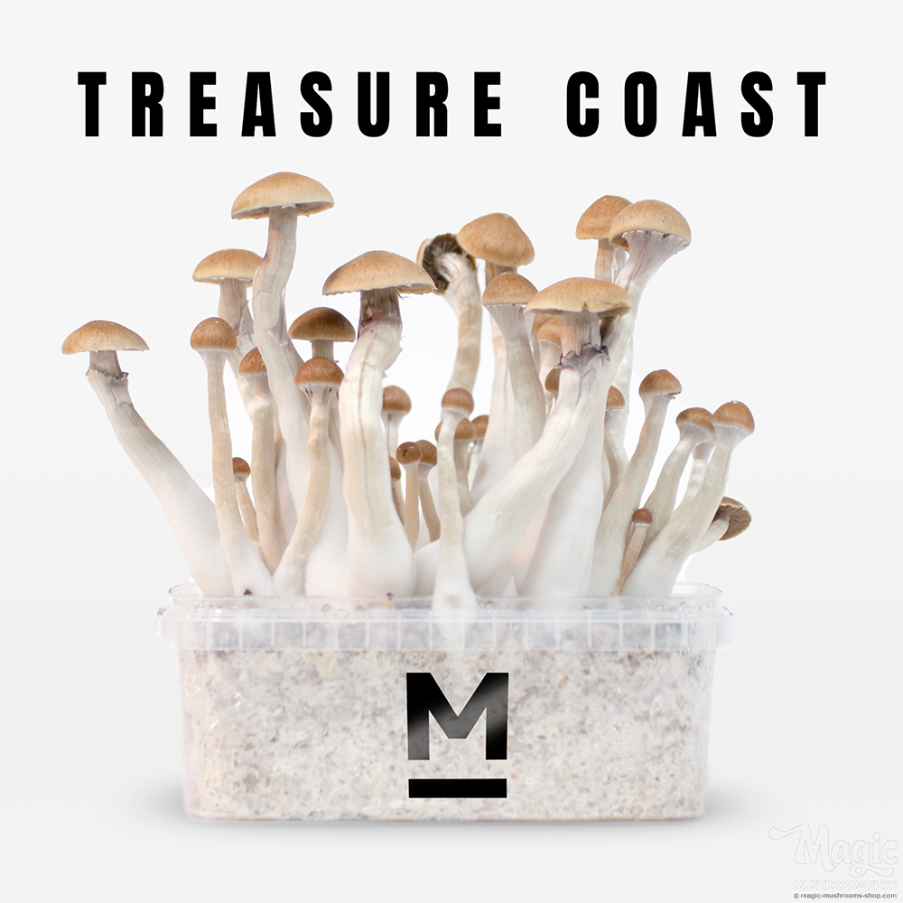 Flush of Treasure Coast