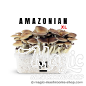 Mondo® kit de cultivo PES Amazon XL