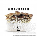 Mondo® kit de cultivo PES Amazon