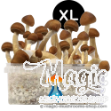 B+ XL Kit de cultivo - GetMagic