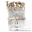 Kit de cultivo combi pack | 3x magic mushroom Kits