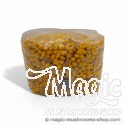 Bolsa estéril de inóculo de maíz