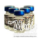 Viales Esporas pack cubensis | 5 viales