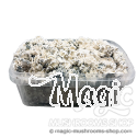 Enigma Kit listo para cultivar