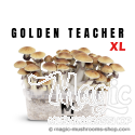Mondo® kit de cultivo Golden Teacher XL