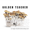 Mondo® kit de cultivo Golden Teacher