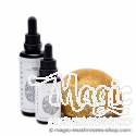 Lion's Mane mushroom tincture - KÄÄPÄ Health 