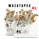 Mondo® kit de cultivo Mazatapec XL