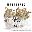 Mondo® kit de cultivo Mazatapec