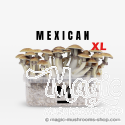 Mondo® kit de cultivo Mexican XL