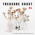 Mondo® kit de cultivo Treasure Coast XL