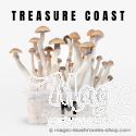 Mondo® kit de cultivo Treasure Coast