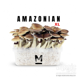 Amazonian PES Growbox / Growkit
