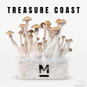 Mondo® kit de cultivo Treasure Coast