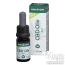 18% Organic CBD Oil | Medihemp RAW